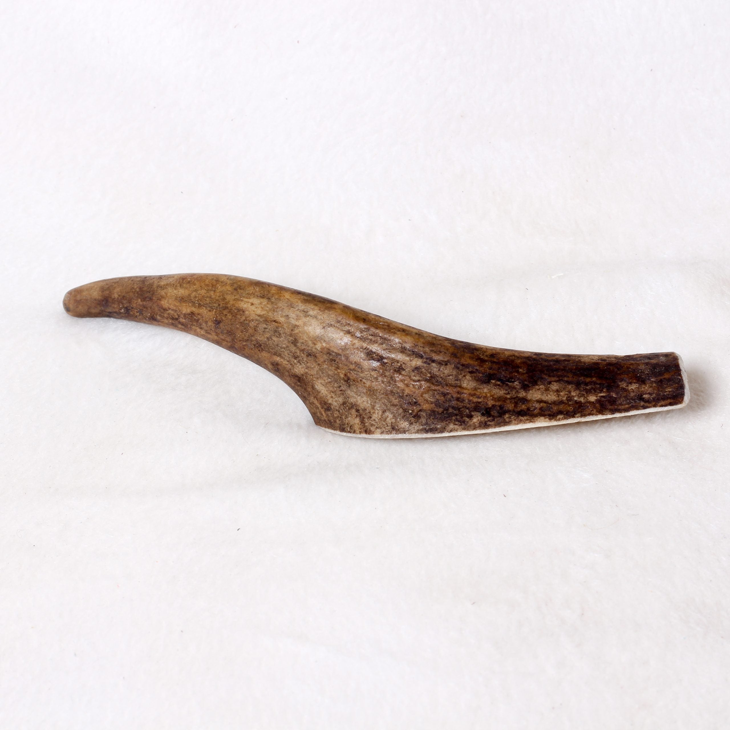 Original Antler Dog Chew image 4