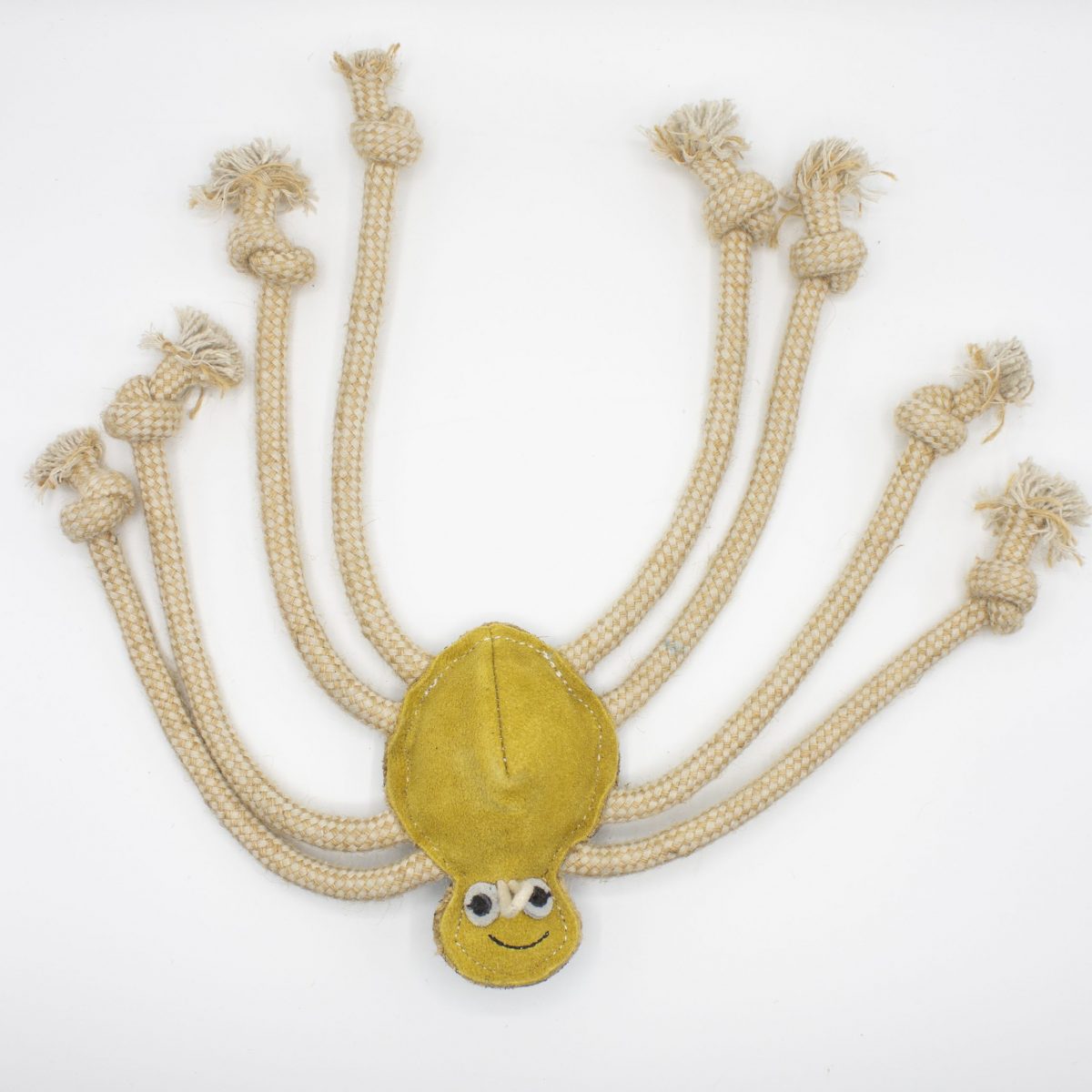 Lily Longlegs image 1