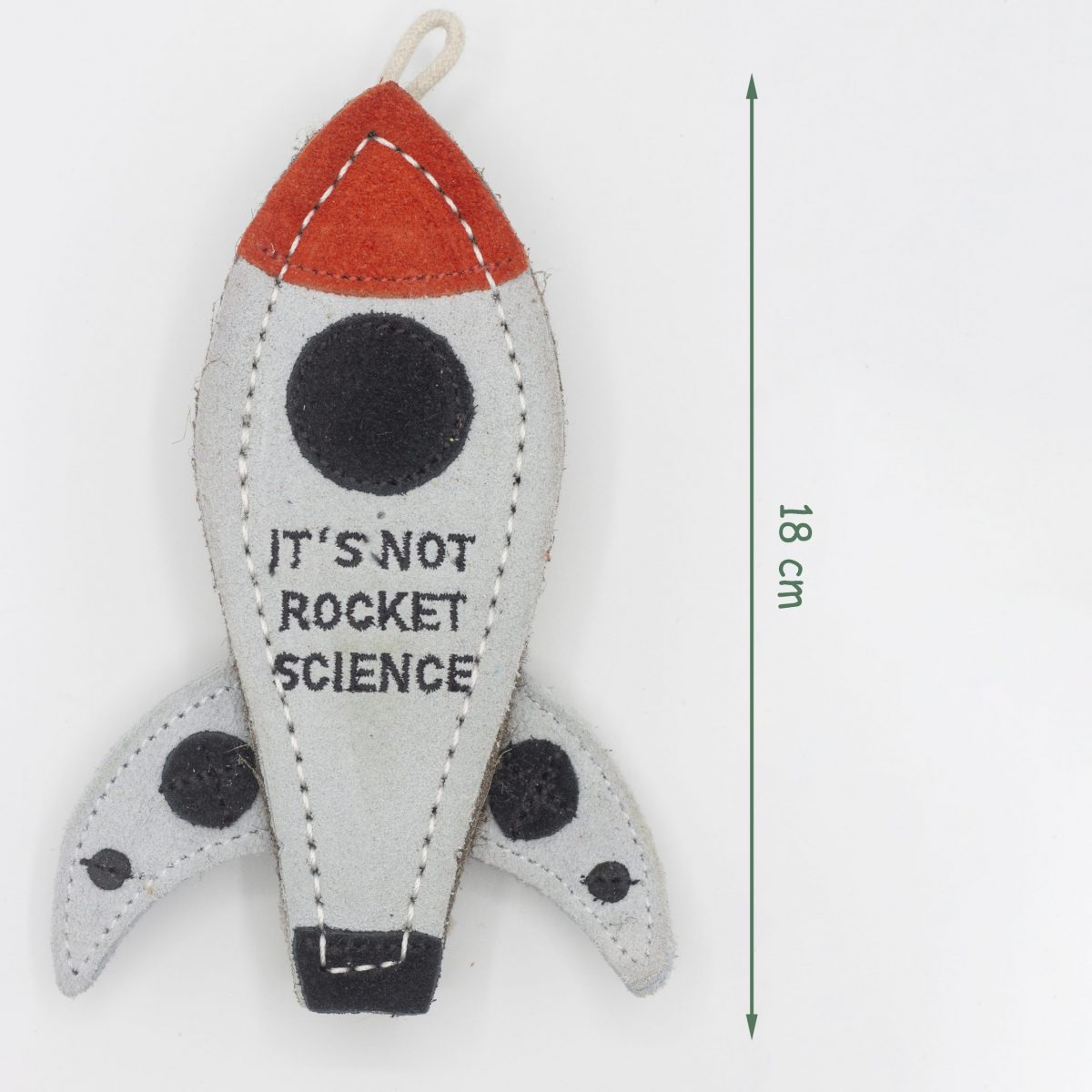 It's Not Rocket Science image 3