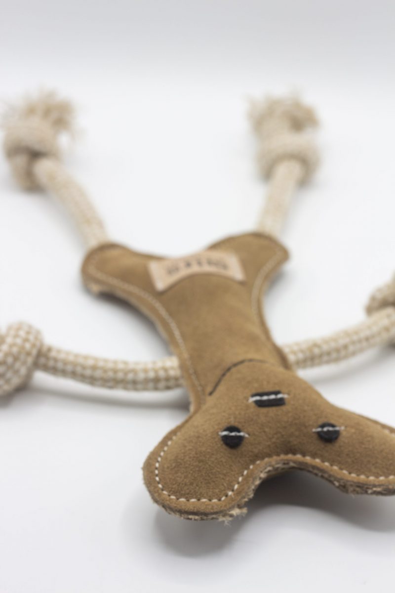 Bernard Bone image 1