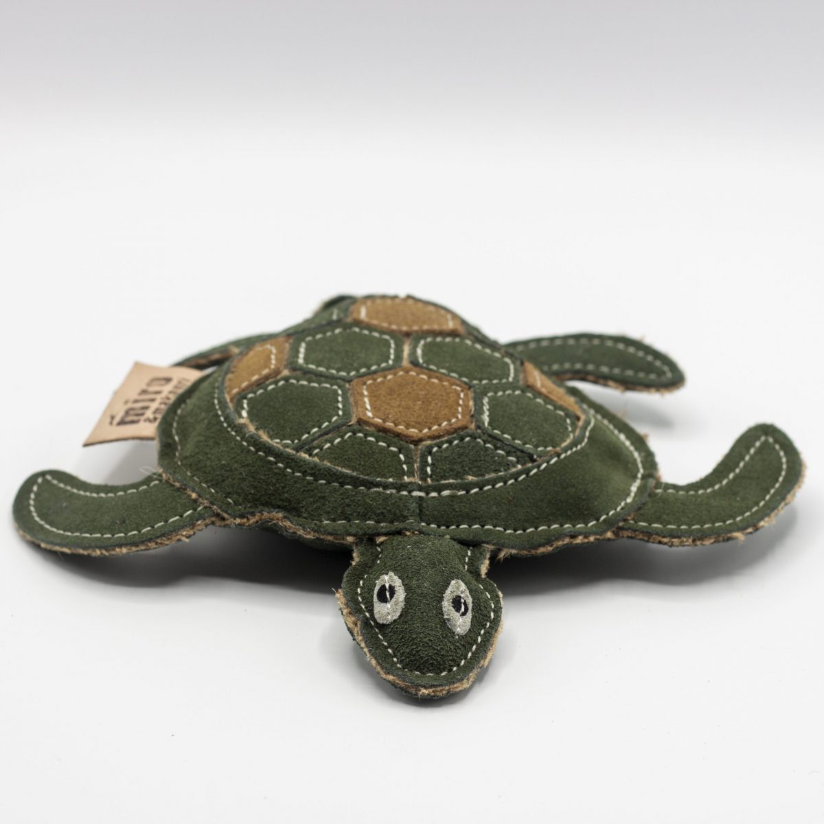Tara Turtle image 0