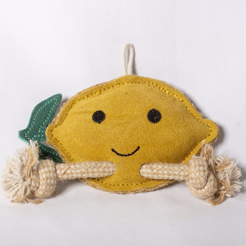 Libby the Lemon image 0