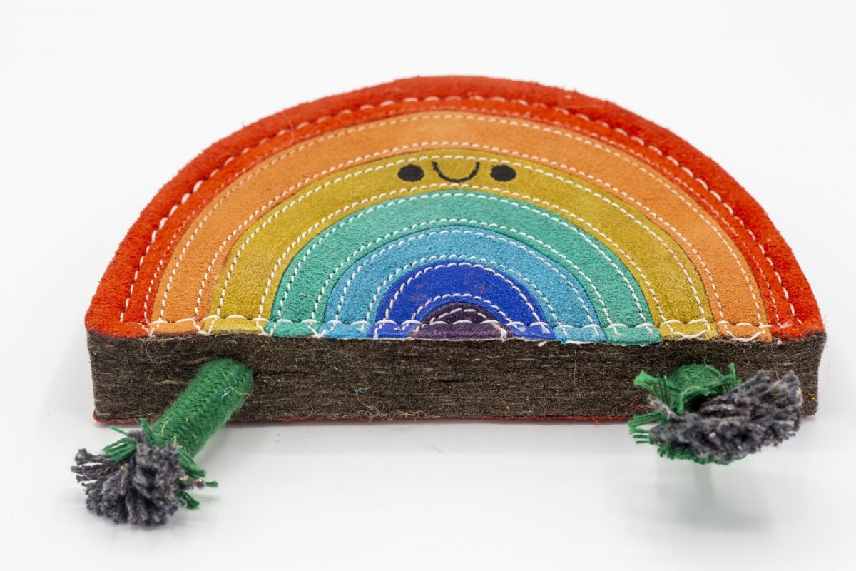 Rainbow Warrior image 1