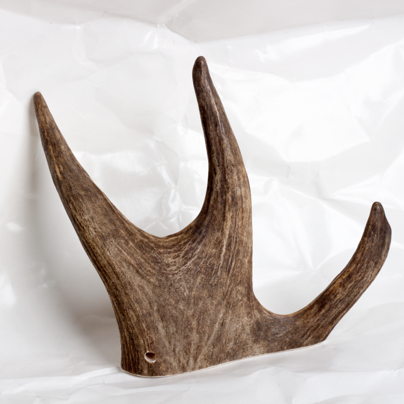 Fallow Antler Chew image 0