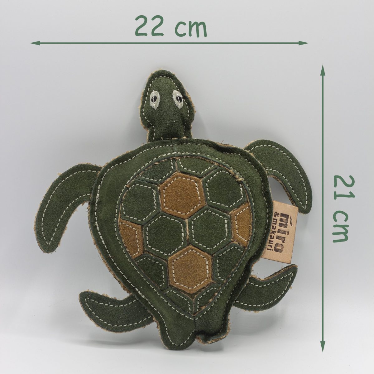 Tara Turtle image 1