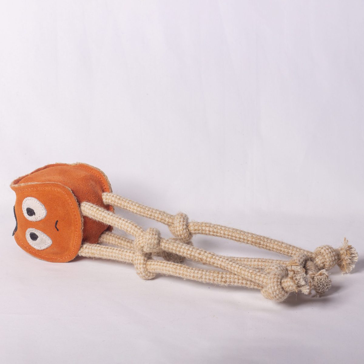 Sid the Squid image 2