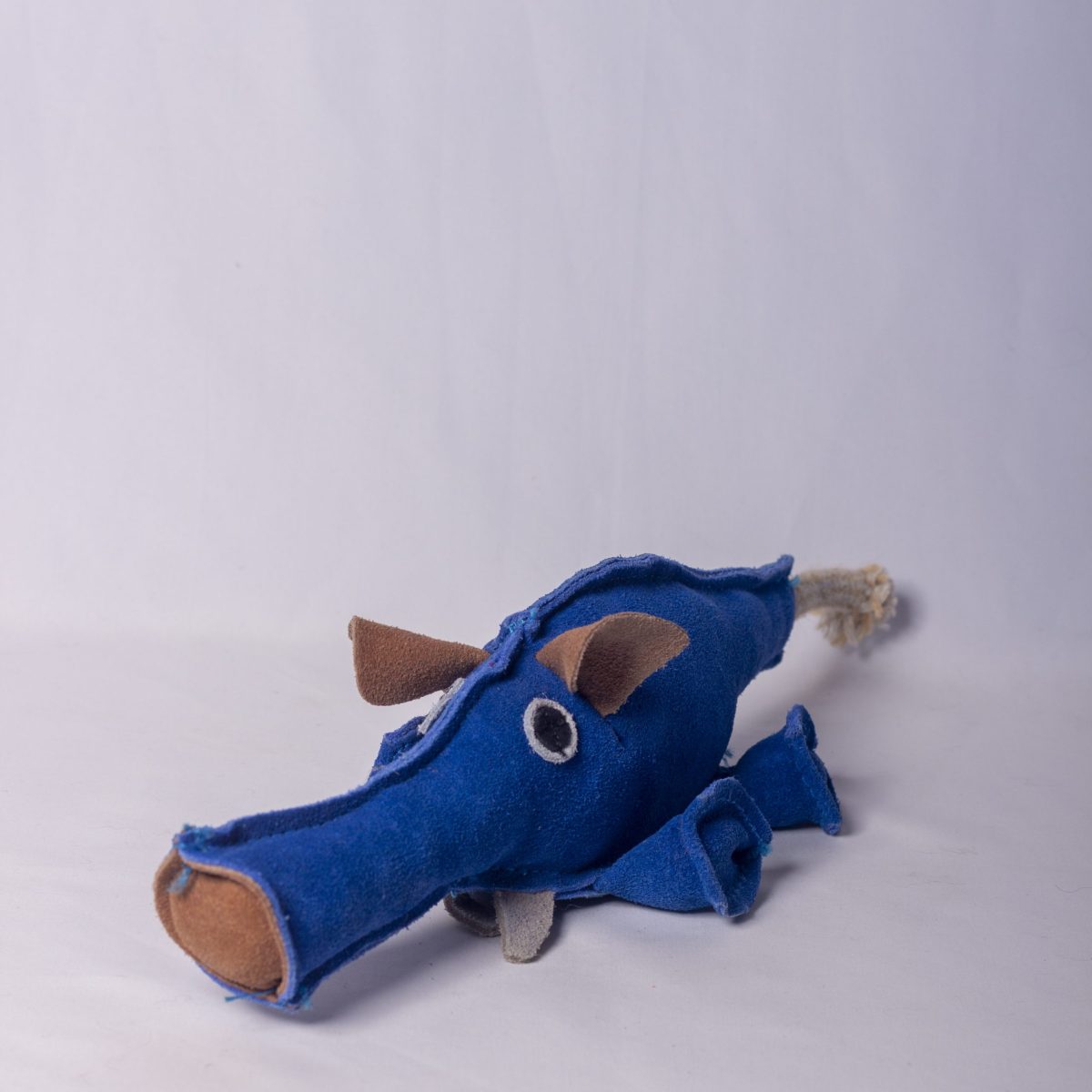 Dino the Dyno Fish image 0