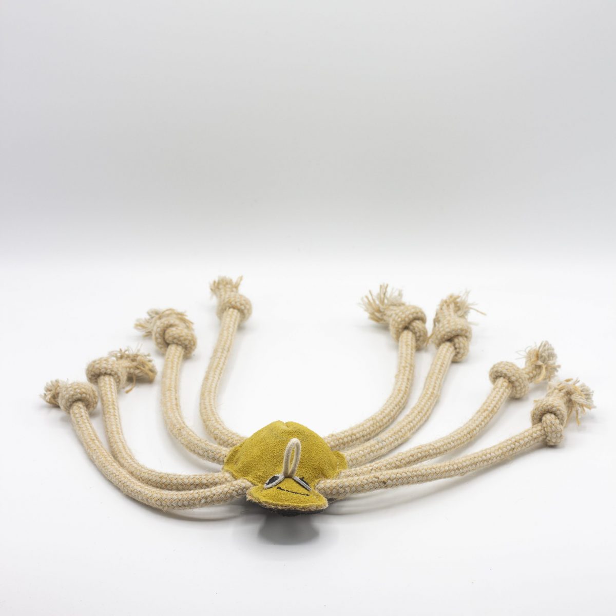 Lily Longlegs image 2