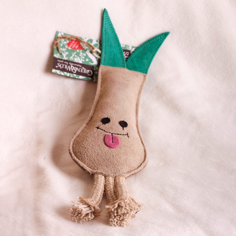 Lenny the Leek image 1