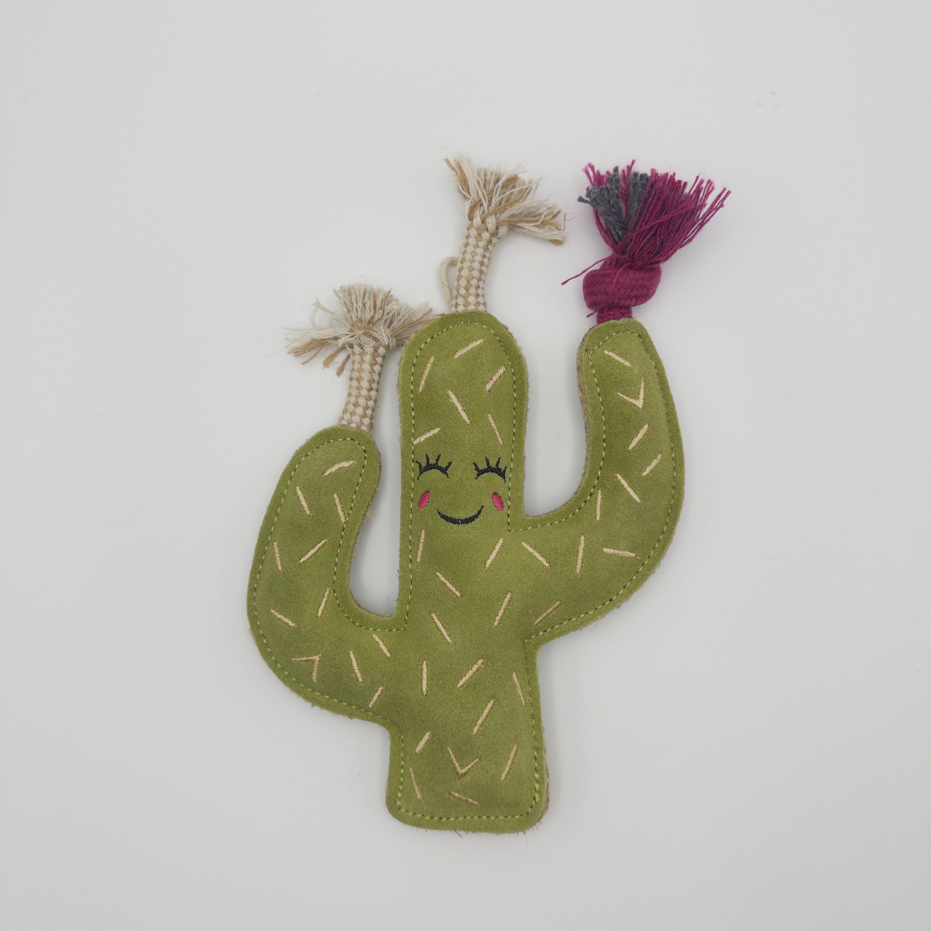 Green cactus-shaped dog toy with a smiling face