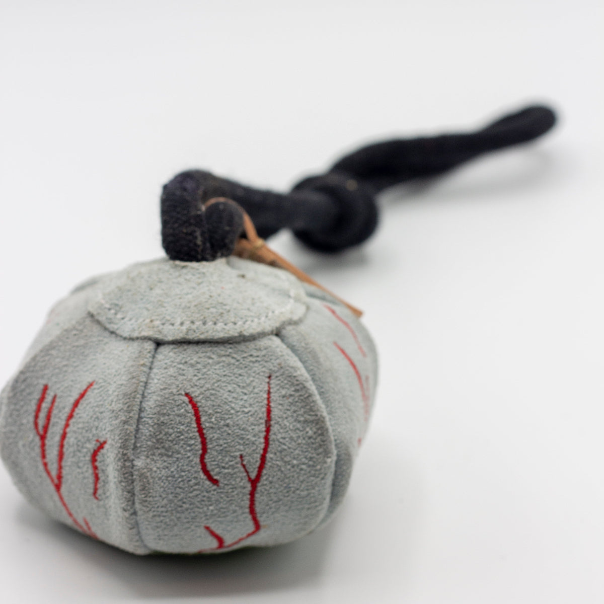 Eye ball dog toy for halloween