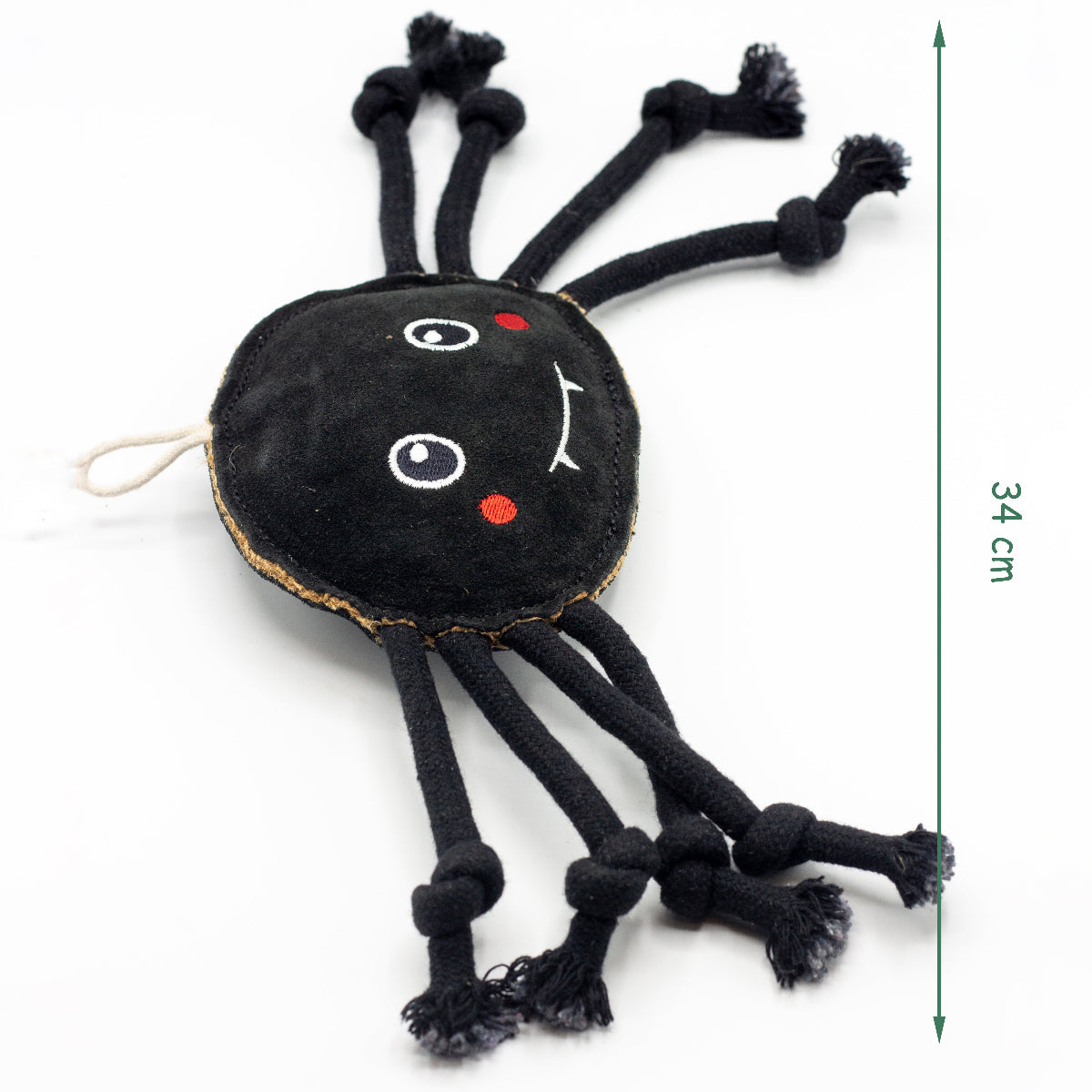Black spider-shaped dog toy with fangs