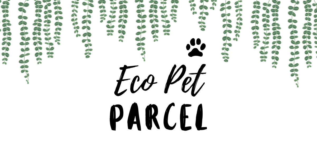 Eco Pet Parcel | Natural Dog Treats, Chews & Toys Delivered UK-Wide
