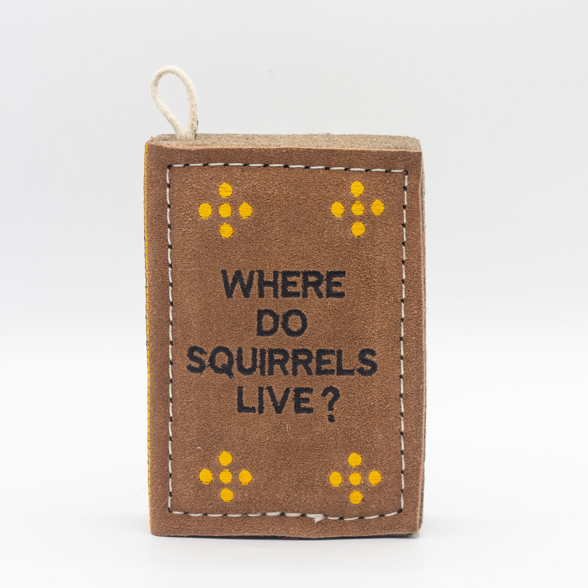 book-shaped dog toy with 'WHERE DO Squirrels LIVE?' text
