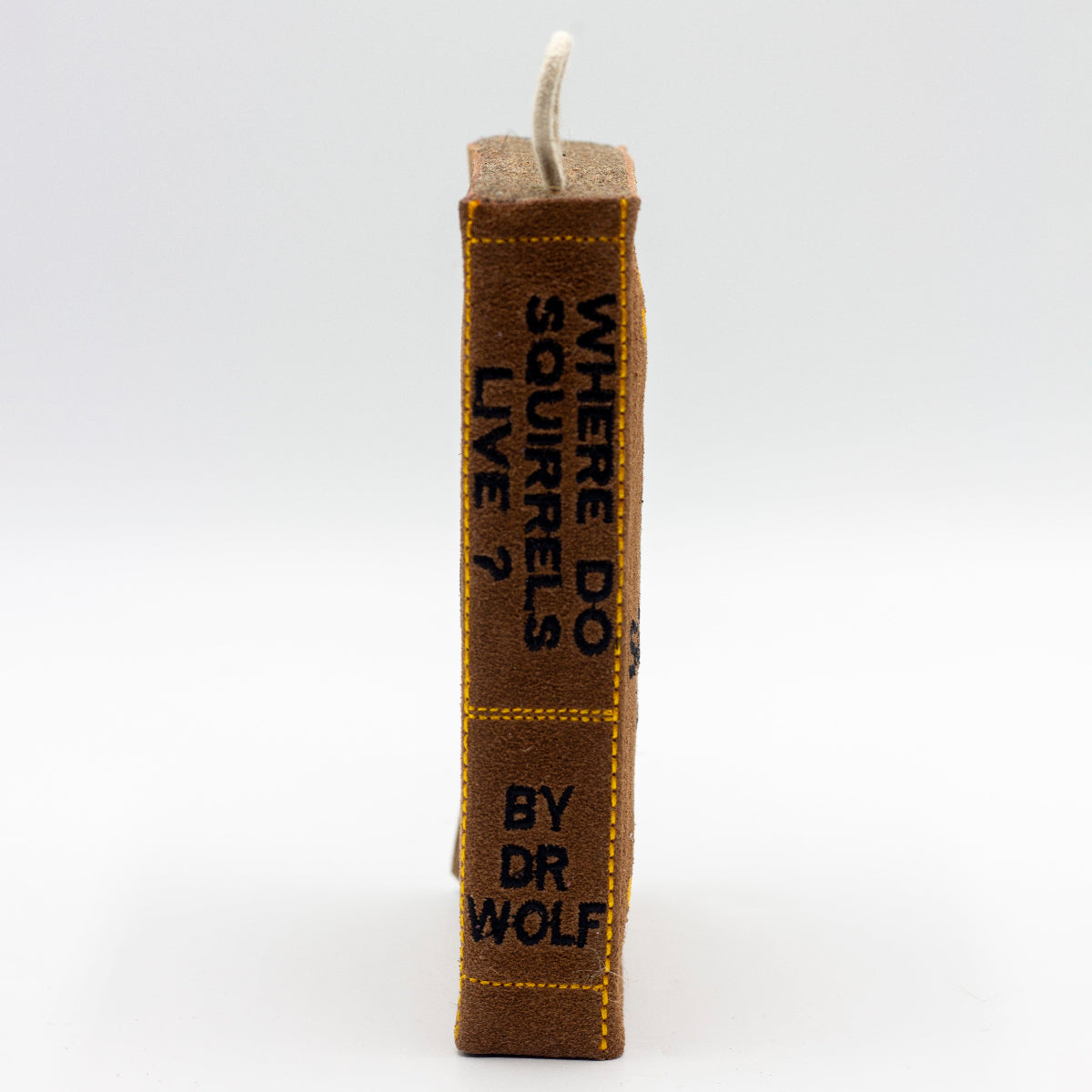 book-shaped dog toy with 'WHERE DO Squirrels LIVE?' text