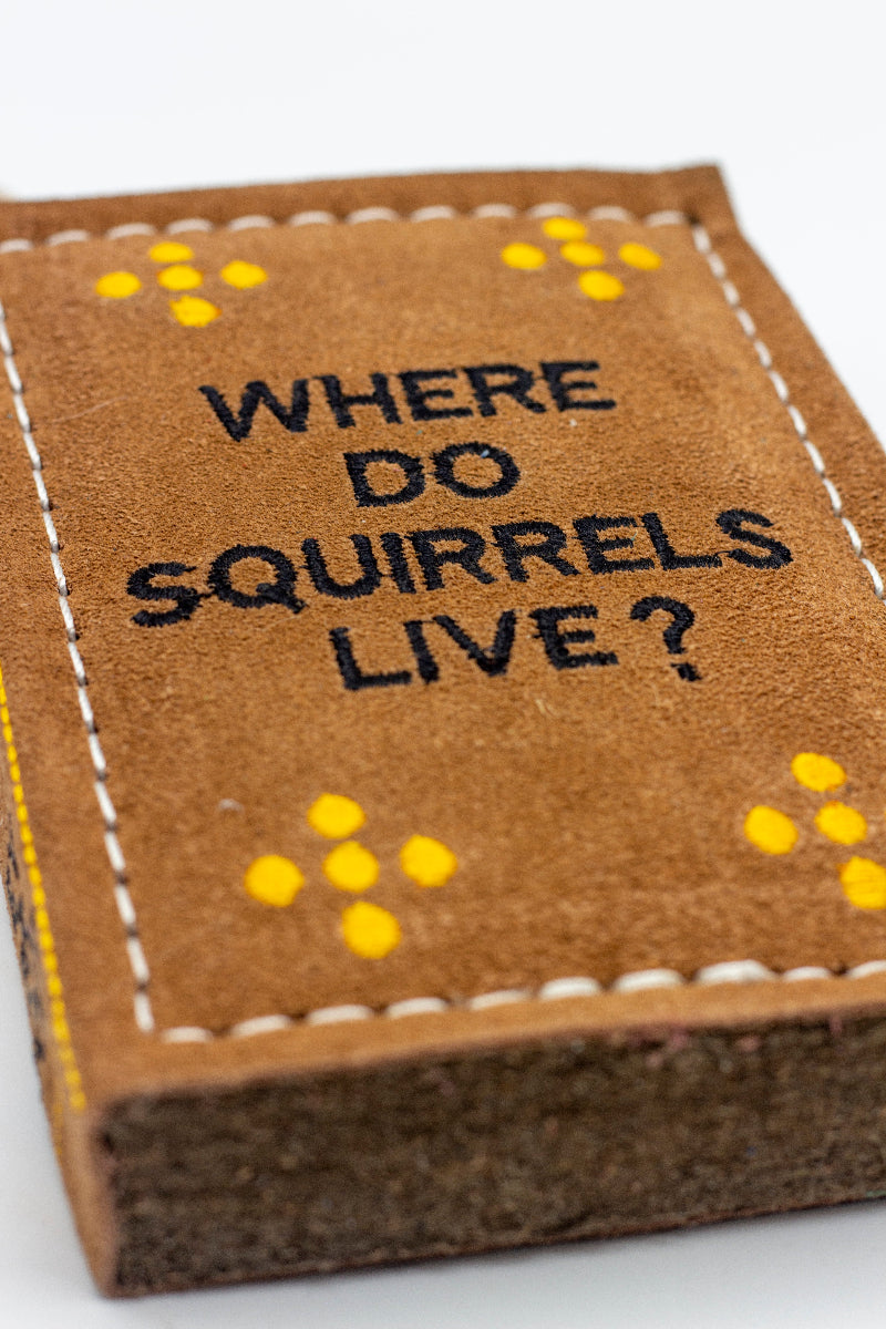 book-shaped dog toy with 'WHERE DO Squirrels LIVE?' text