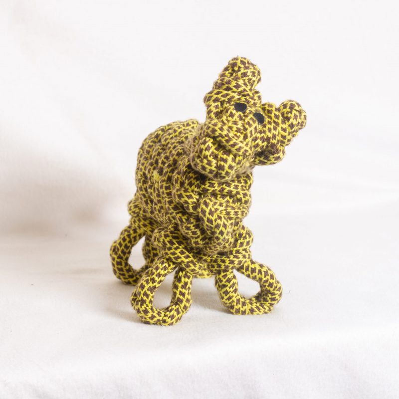 Lionel the Llama image 0