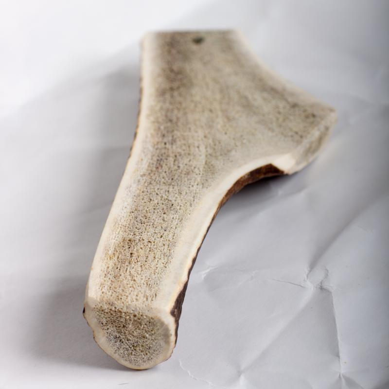 Easy Antler Chew image 2
