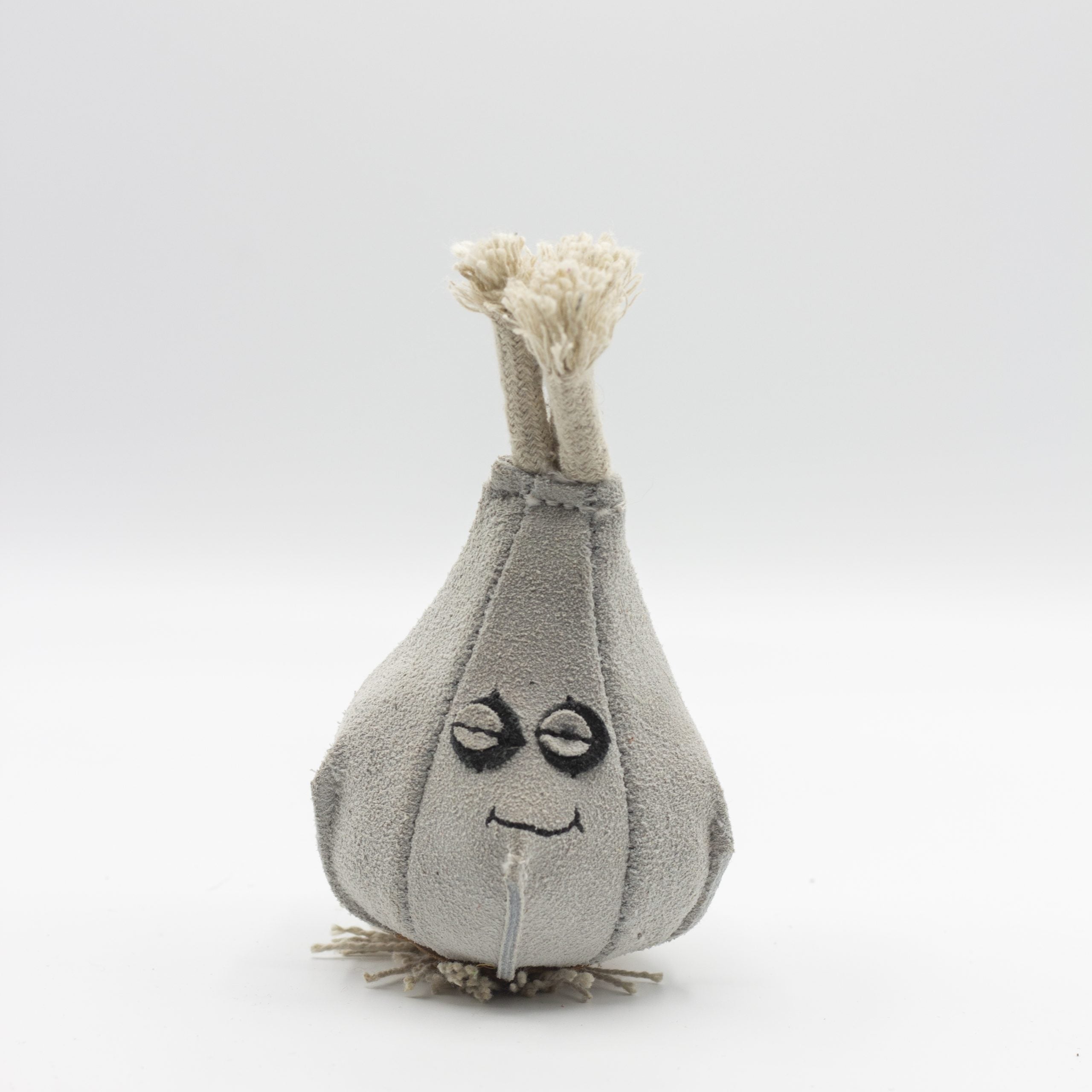 Gary the Garlic image 0