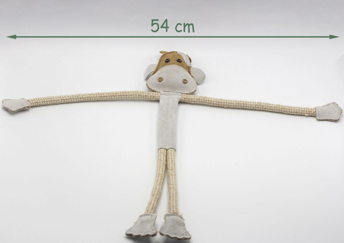 Cuthbert Cow image 2