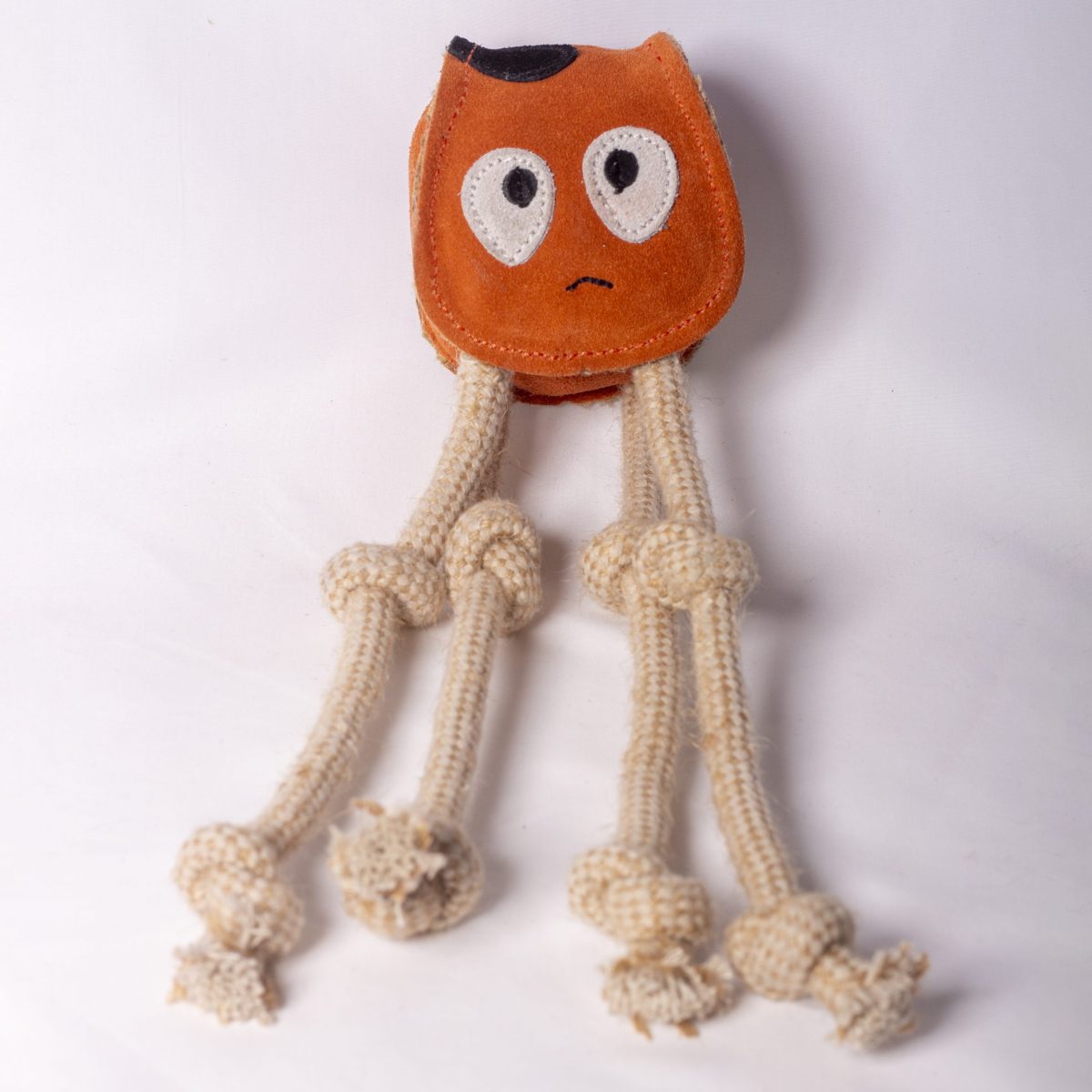 Sid the Squid image 0