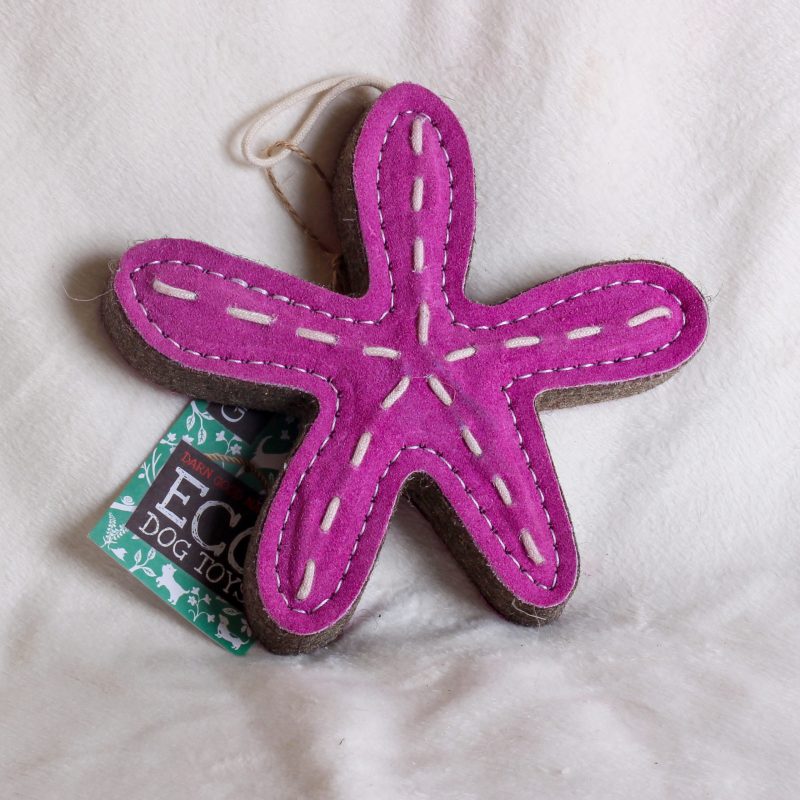 Stanley the Starfish image 0