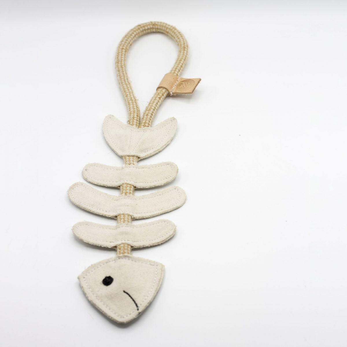 Thin Lizzie the Bonefish image 3