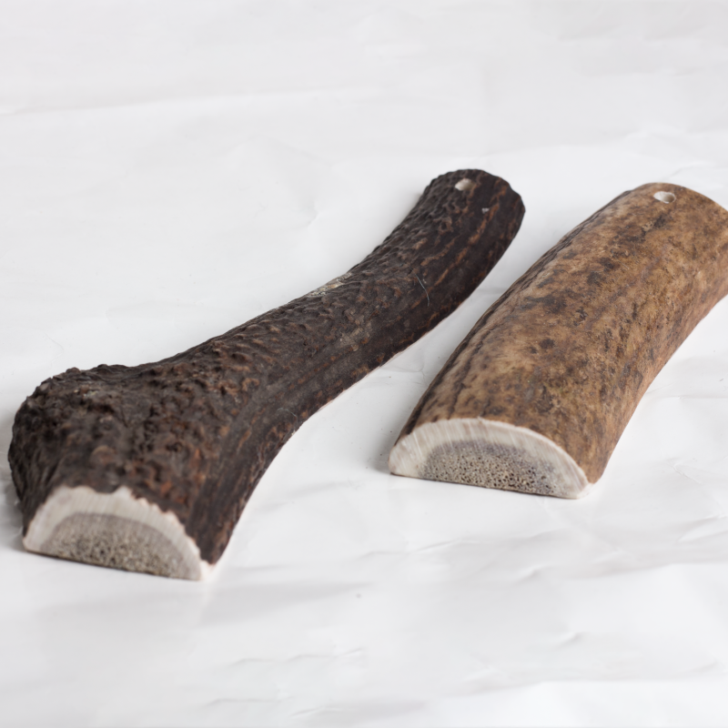 Easy Antler Chew image 0
