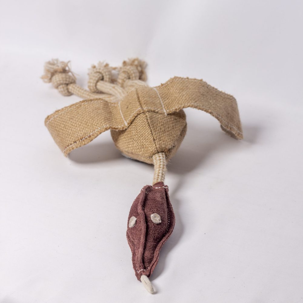 Desmond the Duck image 2