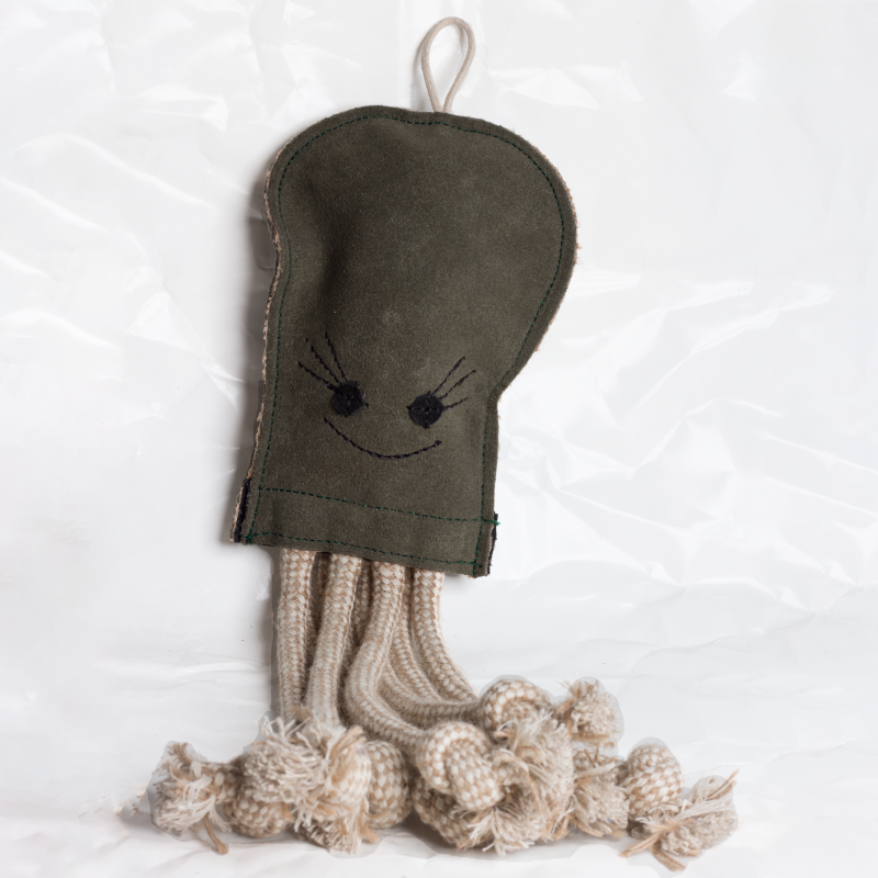 Olive the Octopus image 0