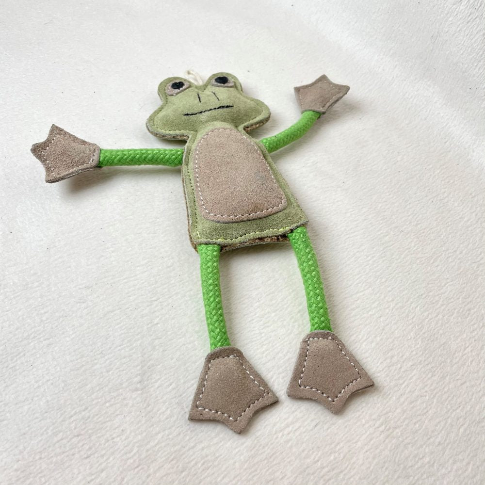 Francois le Frog image 2