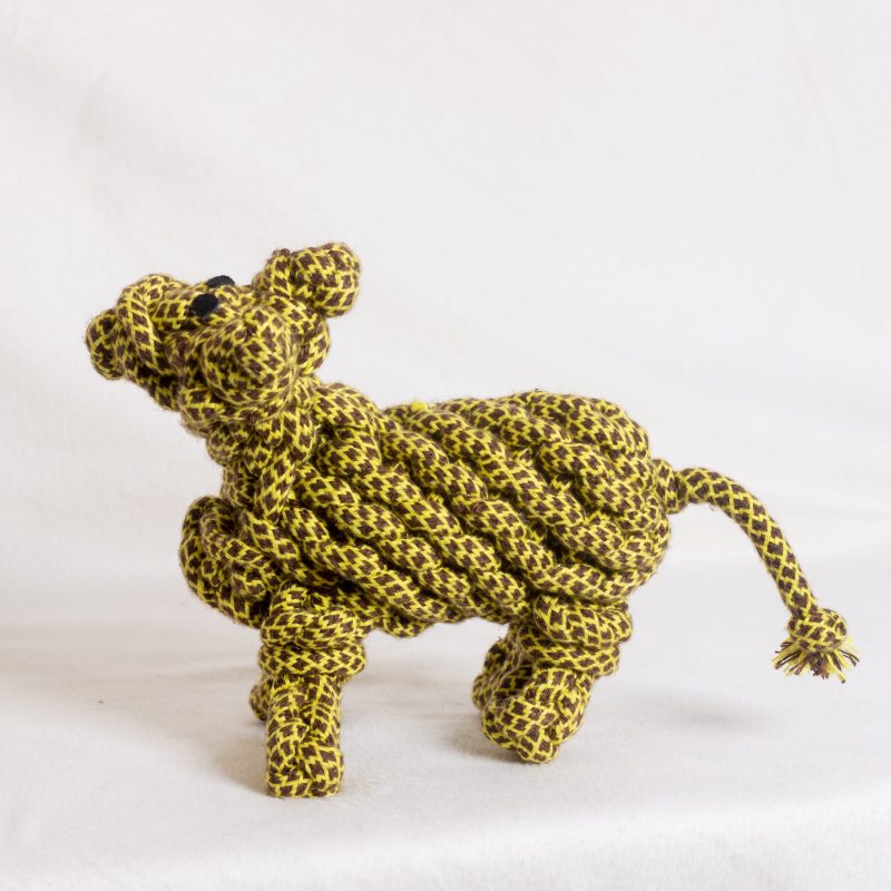 Lionel the Llama image 2