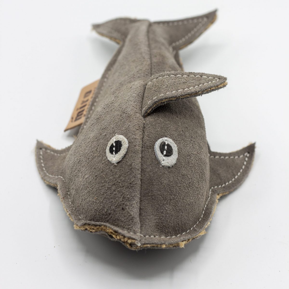 Sidney Shark image 1