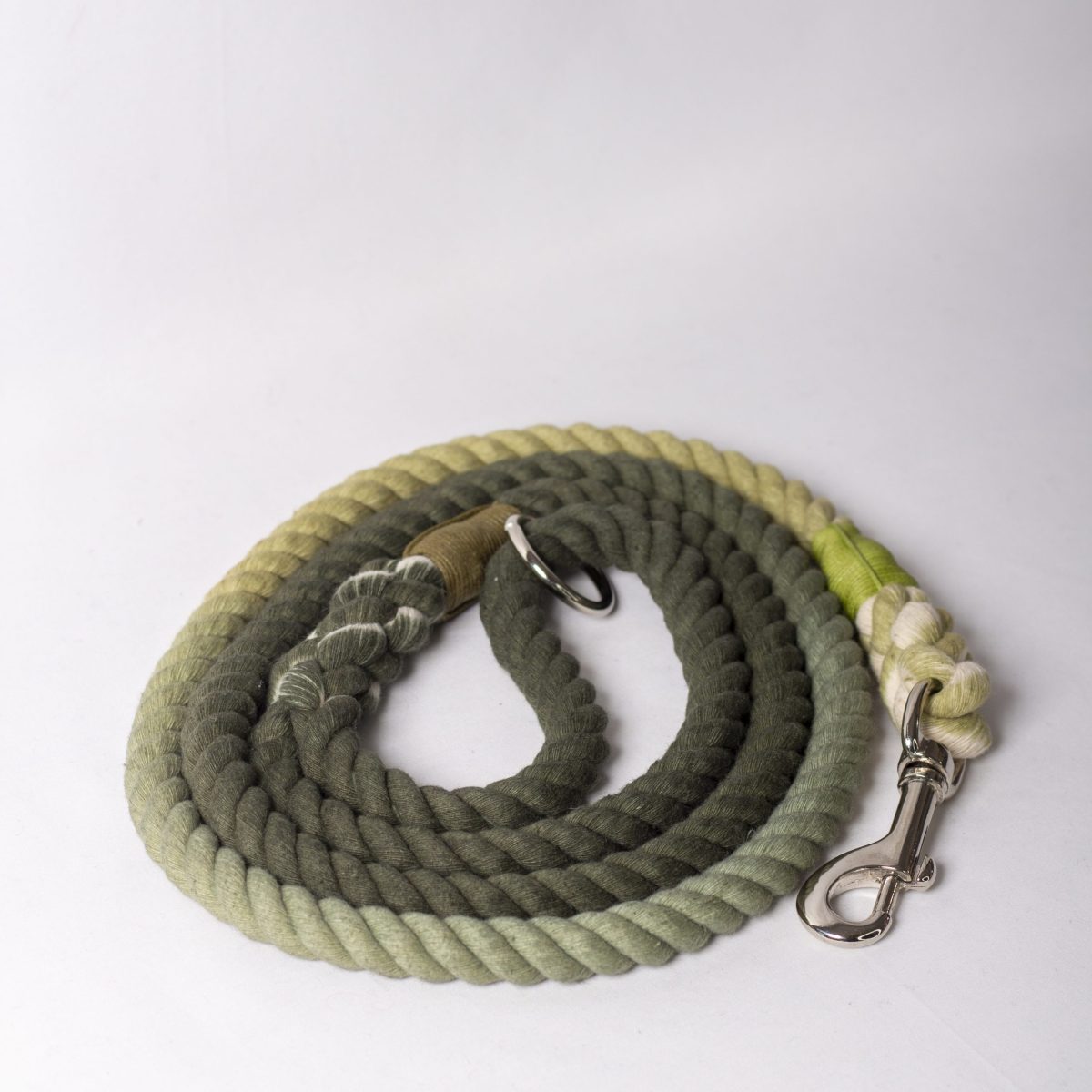 Rope Lead - Forest Walks image