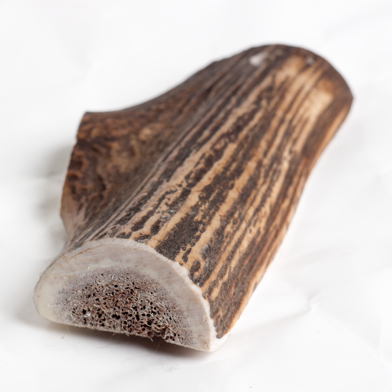 Easy Antler Chew image 5