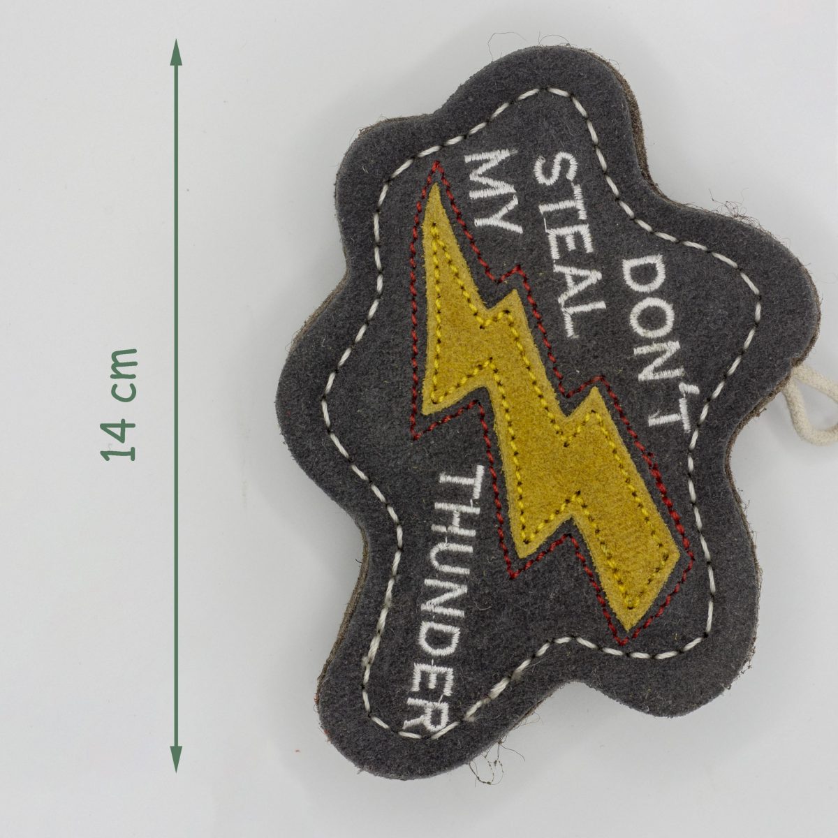 Don't Steal My Thunder image 3