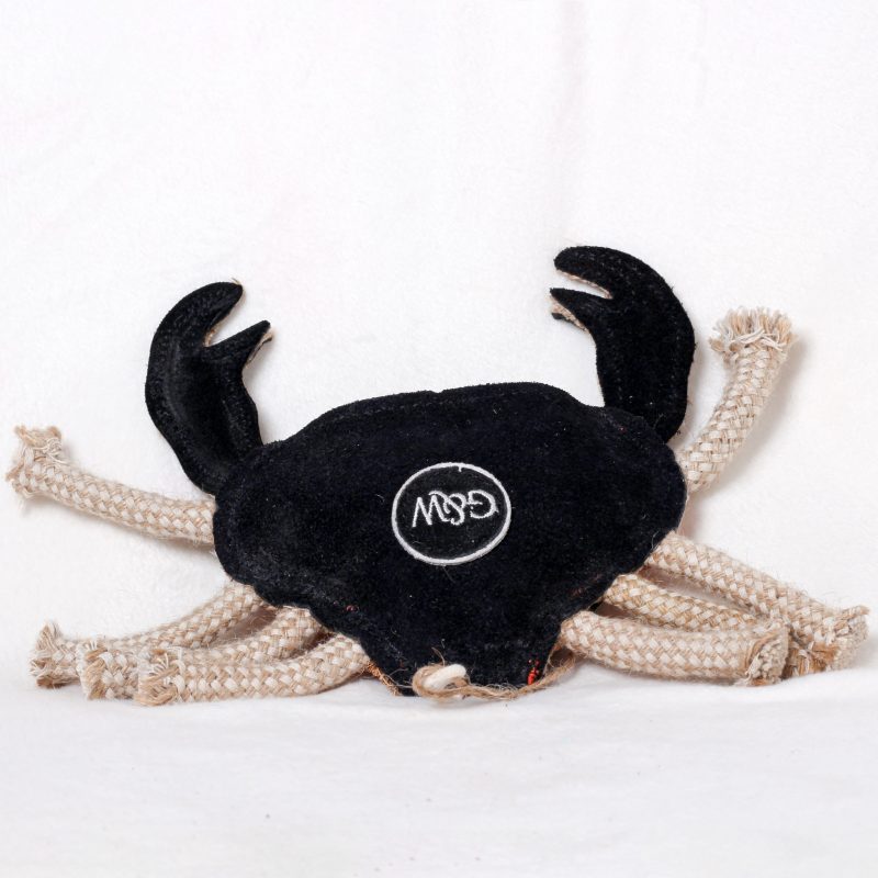 Carlos the Crab image 4