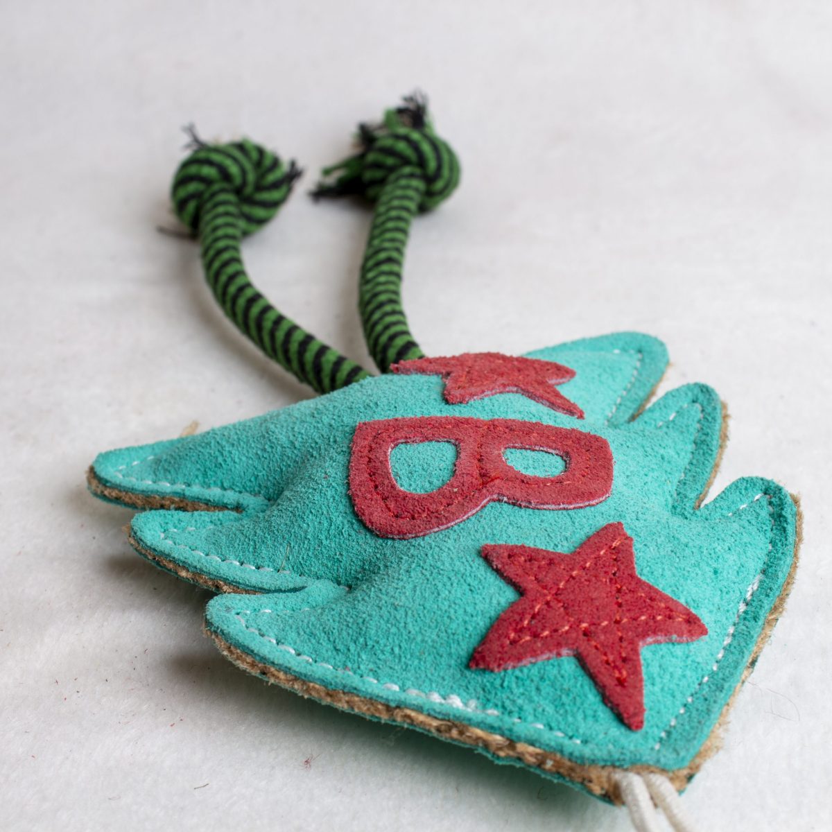 Bruce the Spruce image 2