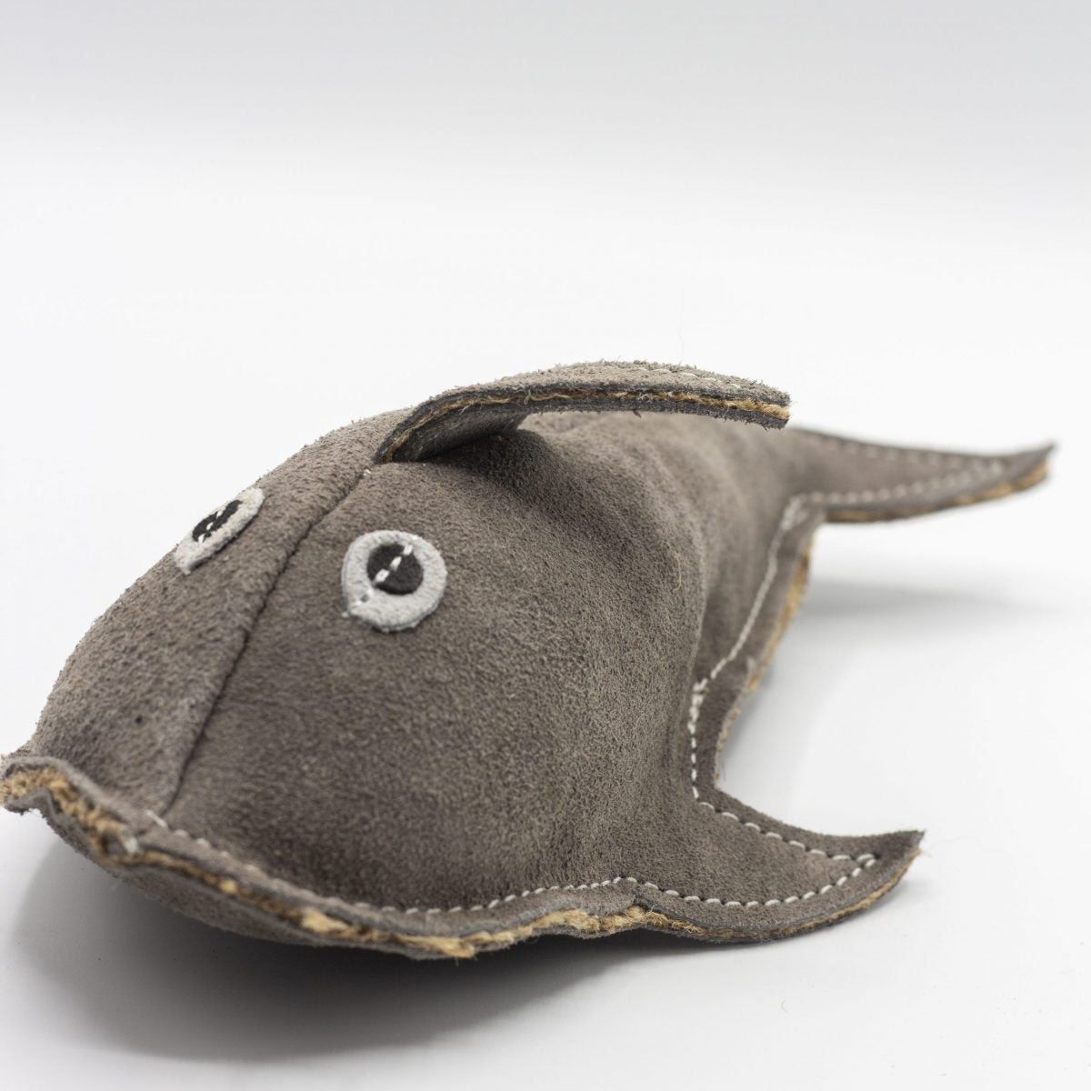 Sidney Shark image 2