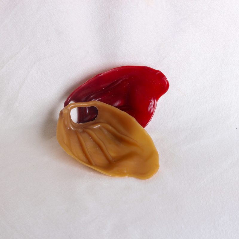 Veggie Pig's Ear image 6