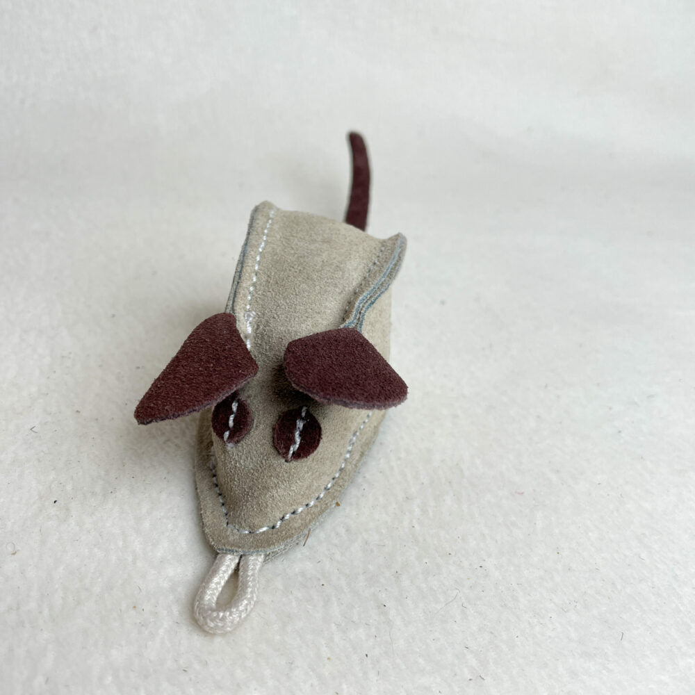 Mike the Mouse image 1