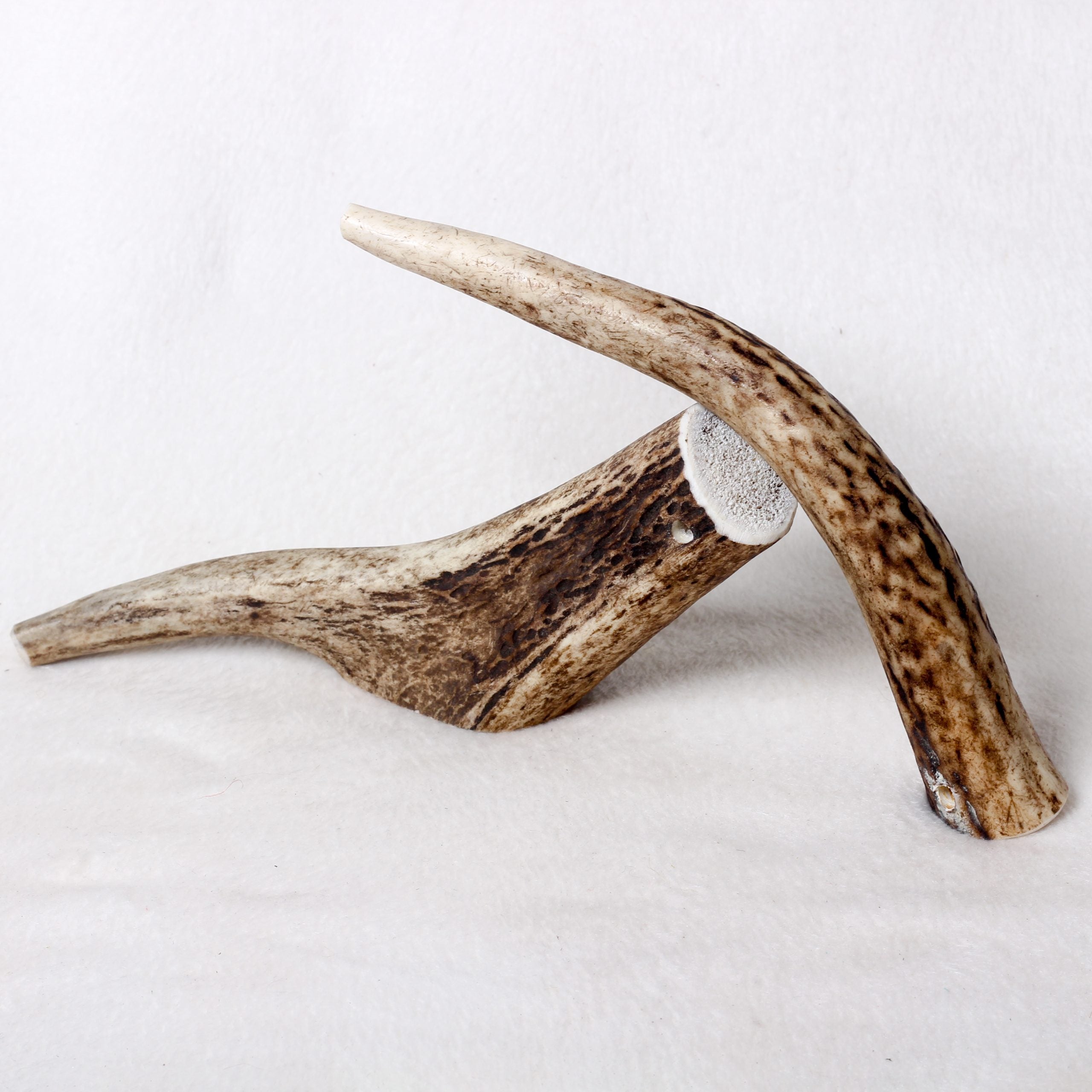 Original Antler Dog Chew image 5