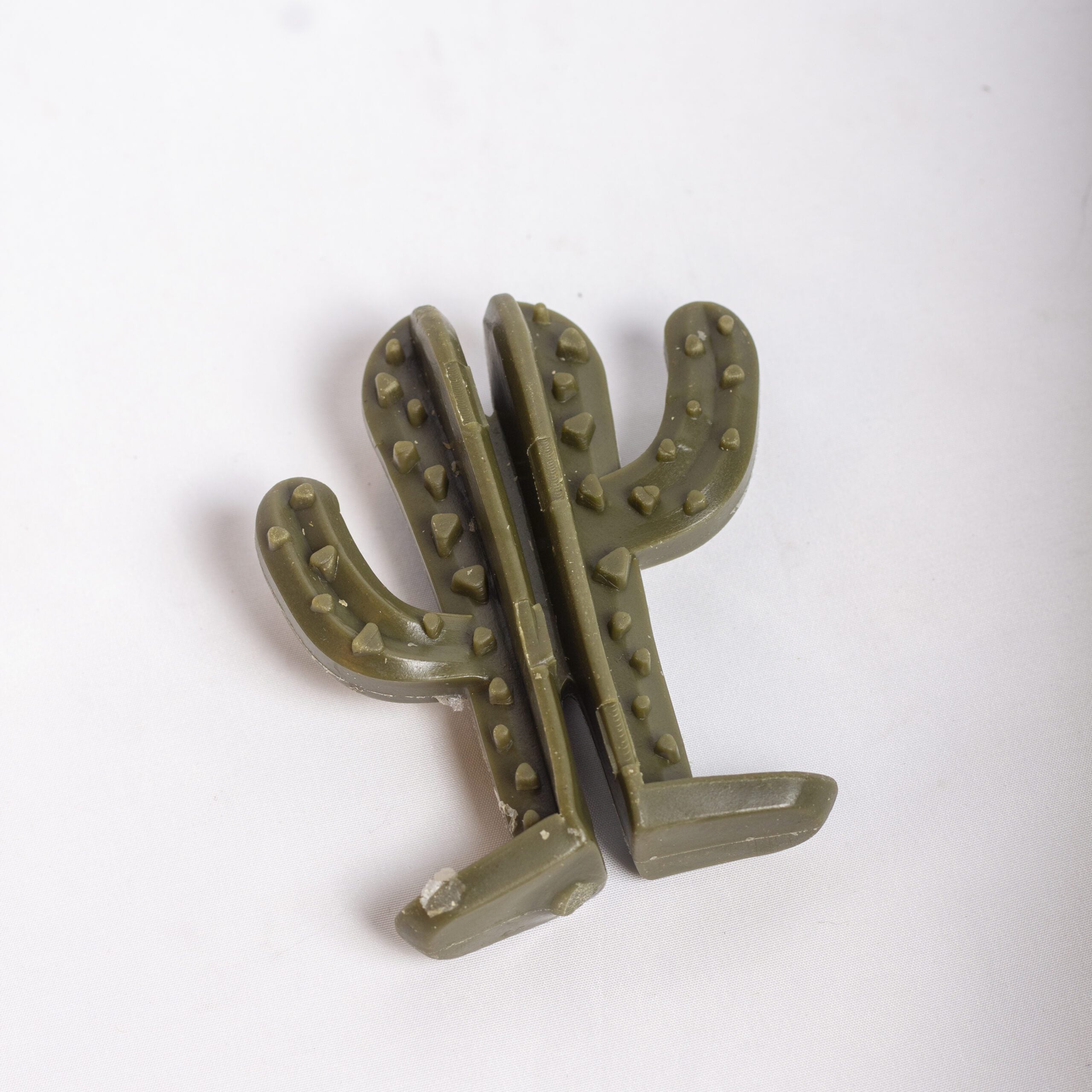 Veggie Cactus image 1