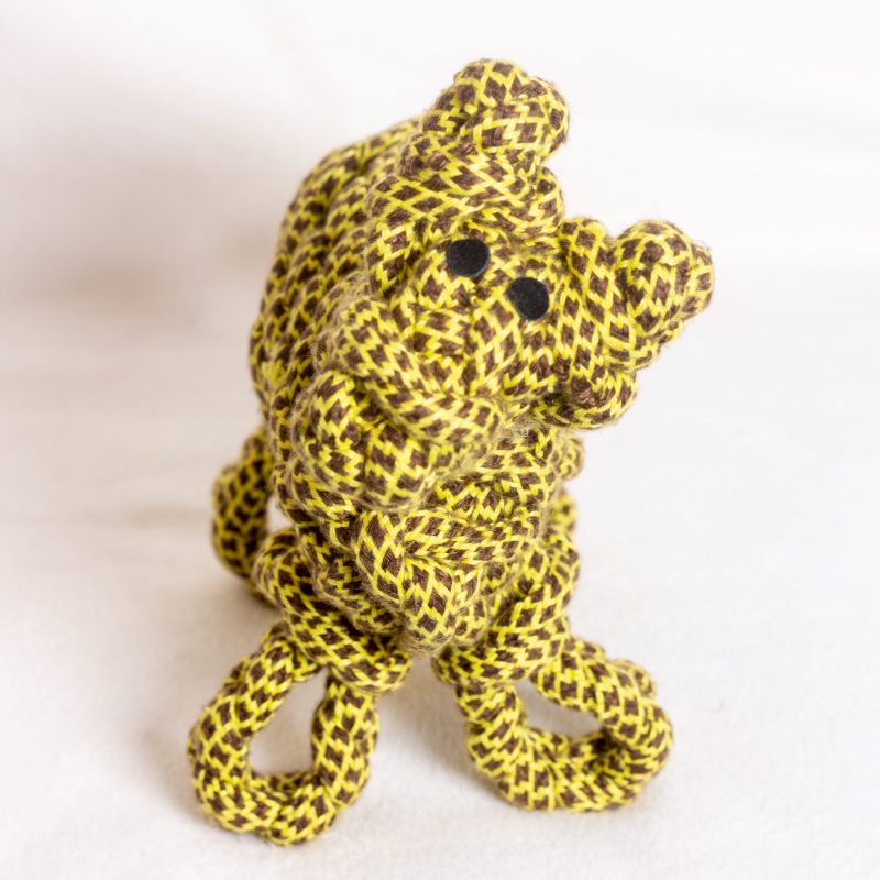 Lionel the Llama image 1