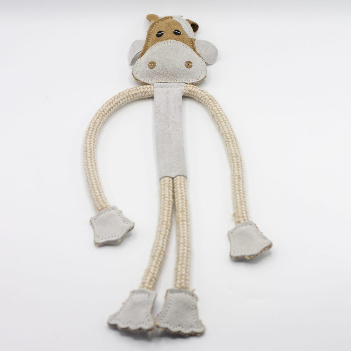 Cuthbert Cow image 0