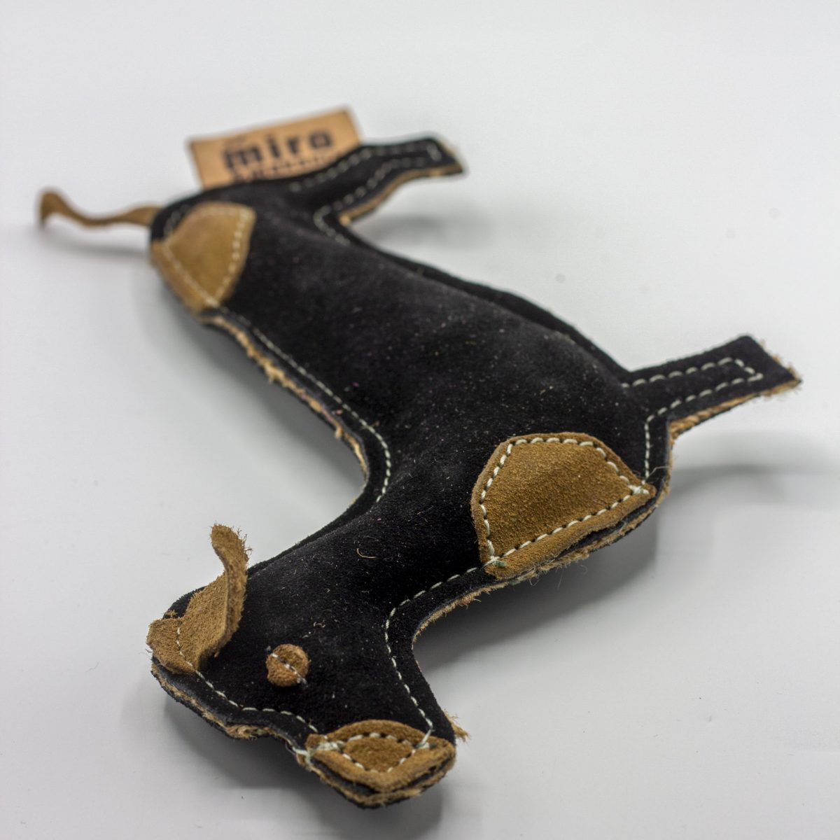 Douglas Dachshund image 1