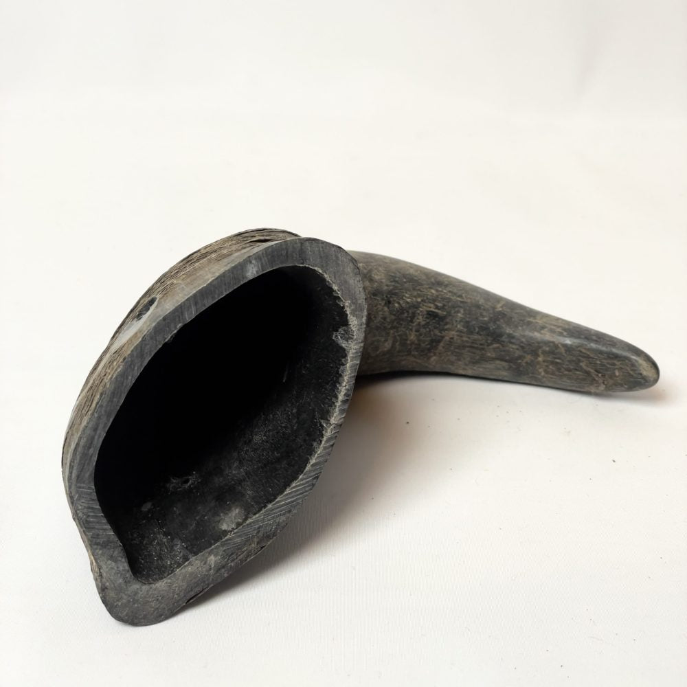 Buffalo Horn Chew image 6
