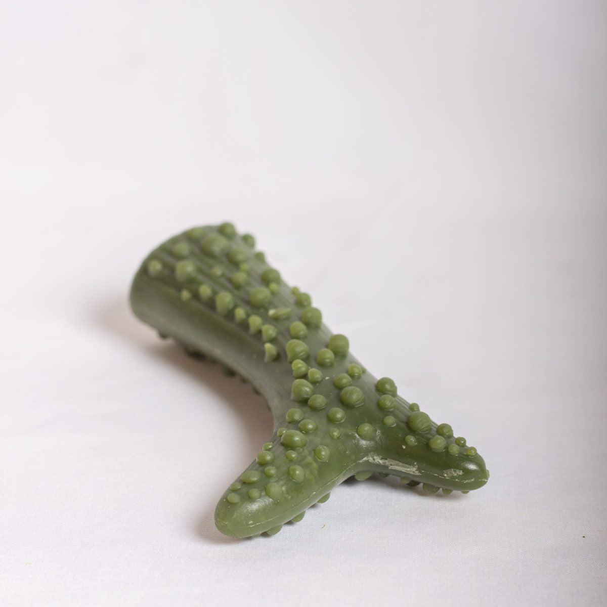 Veggie Filled Antler image 8