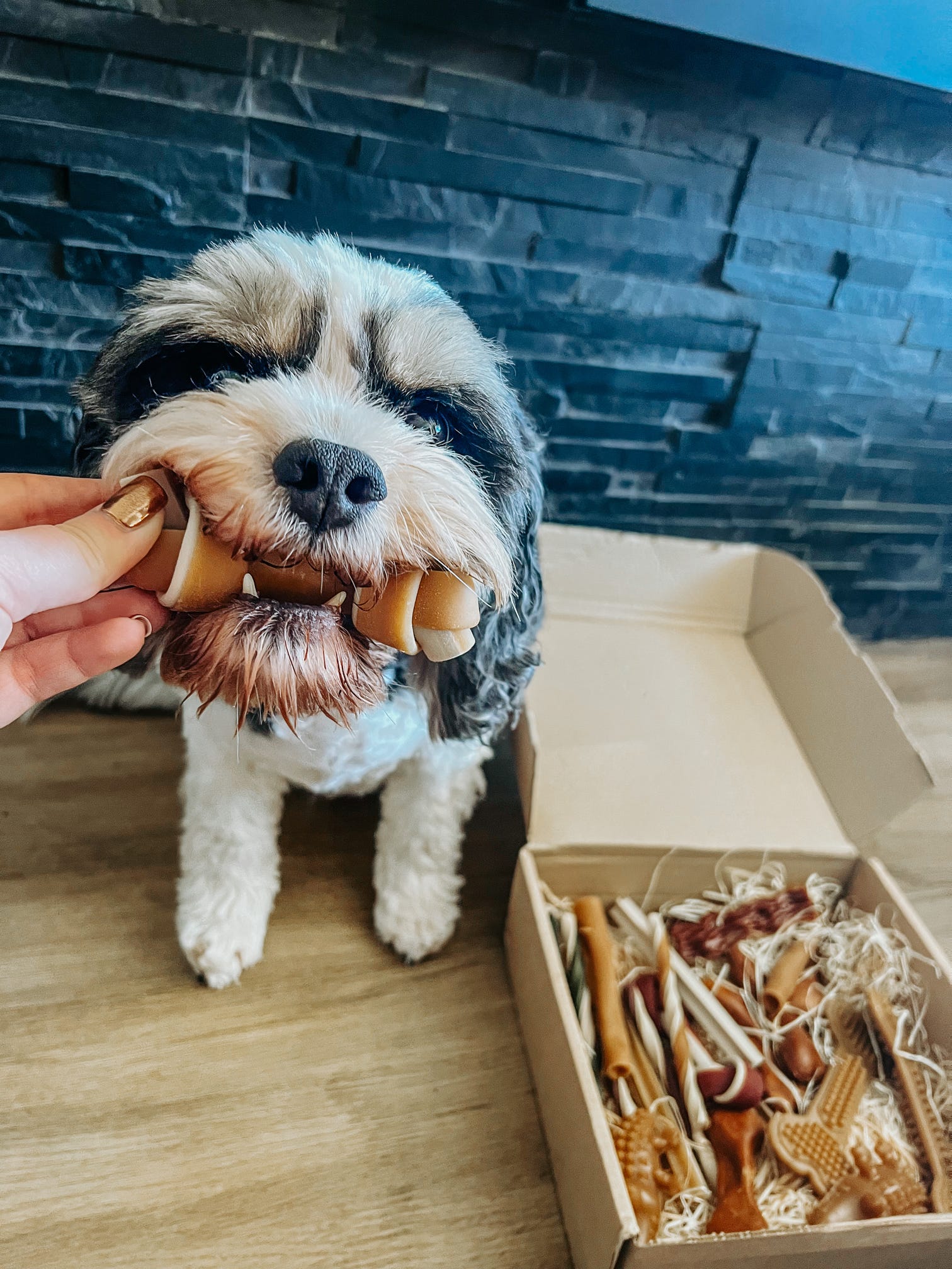 Veggie Knotted Bone image 2