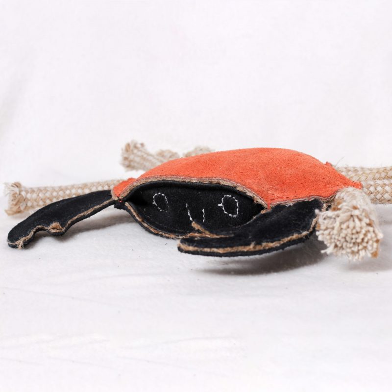 Carlos the Crab image 1